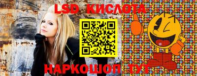 крисы Камышлов