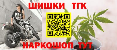 крисы Камышлов