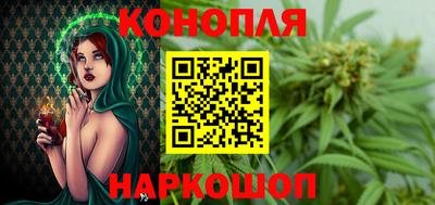крисы Камышлов