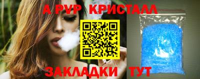 крисы Камышлов