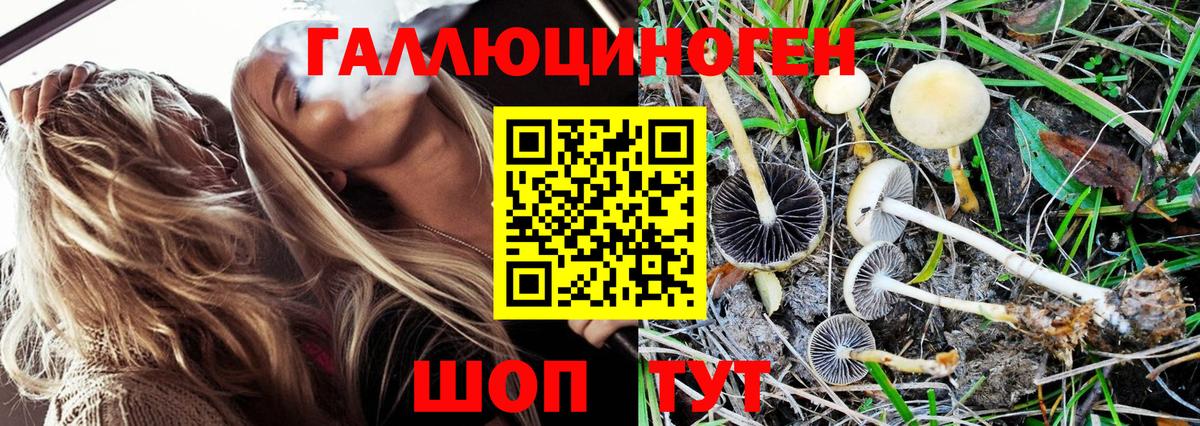 Галлюциногенные грибы MAGIC MUSHROOMS  как найти   Кумертау  Вход с VPN 